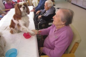 mujer dando la mano a un perro