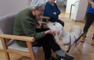 Residencia de ancianos terapia perros