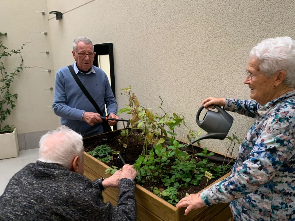 Residencias de ancianos y la huerta