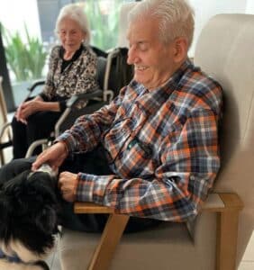 terapia asistida con perros