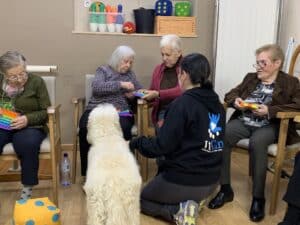 Residencias de ancianos Reig